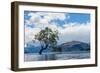 A lonely tree is silhouetted in a lake in the mountains, Wanaka, Otago, South Island, New Zealand-Logan Brown-Framed Photographic Print