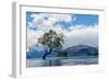 A lonely tree is silhouetted in a lake in the mountains, Wanaka, Otago, South Island, New Zealand-Logan Brown-Framed Photographic Print