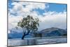 A lonely tree is silhouetted in a lake in the mountains, Wanaka, Otago, South Island, New Zealand-Logan Brown-Mounted Photographic Print