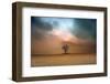 a loner ...-Piotr Krol (Bax)-Framed Photographic Print