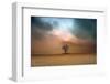 a loner ...-Piotr Krol (Bax)-Framed Photographic Print