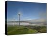 A Long Exposure by Moonlight of Windmills in Te Apiti Wind Farm, Manawatu, New Zealand-Don Smith-Stretched Canvas