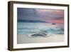 A Long Exposure of a Colorful Sunrise in the Atlantic Rainforest Beach in Ubatuba, Brazil-Alex Saberi-Framed Photographic Print