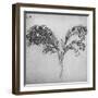 'A Long-Stemmed Plant, c1480 (1945)-Leonardo Da Vinci-Framed Giclee Print