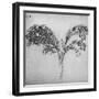 'A Long-Stemmed Plant, c1480 (1945)-Leonardo Da Vinci-Framed Giclee Print