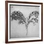 'A Long-Stemmed Plant, c1480 (1945)-Leonardo Da Vinci-Framed Giclee Print