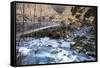 A Long Suspension Bridge over a River on the Fox Glacier Track, Wanaka, South Island, New Zealand-Paul Dymond-Framed Stretched Canvas