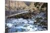 A Long Suspension Bridge over a River on the Fox Glacier Track, Wanaka, South Island, New Zealand-Paul Dymond-Mounted Photographic Print