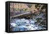 A Long Suspension Bridge over a River on the Fox Glacier Track, Wanaka, South Island, New Zealand-Paul Dymond-Framed Stretched Canvas