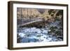 A Long Suspension Bridge over a River on the Fox Glacier Track, Wanaka, South Island, New Zealand-Paul Dymond-Framed Photographic Print