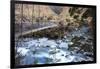 A Long Suspension Bridge over a River on the Fox Glacier Track, Wanaka, South Island, New Zealand-Paul Dymond-Framed Photographic Print