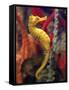 A Longsnout Seahorse Moves Gracefully Through Coral-null-Framed Stretched Canvas