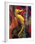 A Longsnout Seahorse Moves Gracefully Through Coral-null-Framed Photographic Print