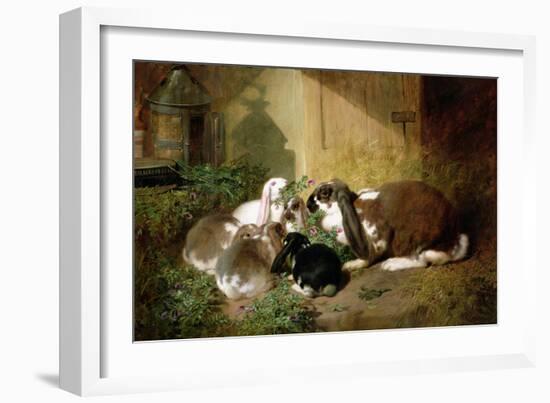 A Lop-Eared Doe Rabbit with Her Young-John Frederick Herring I-Framed Giclee Print