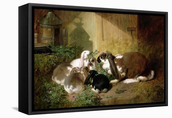 A Lop-Eared Doe Rabbit with Her Young-John Frederick Herring I-Framed Stretched Canvas