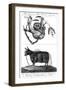 A Loris and a Yak, 1799-null-Framed Giclee Print