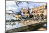 A Lot of Doves in Krakow Old City.-bloodua-Mounted Photographic Print