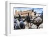 A Lot of Doves in Krakow Old City.-bloodua-Framed Photographic Print