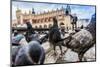 A Lot of Doves in Krakow Old City.-bloodua-Mounted Photographic Print