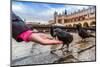 A Lot of Doves in Krakow Old City.-bloodua-Mounted Photographic Print