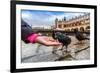 A Lot of Doves in Krakow Old City.-bloodua-Framed Photographic Print