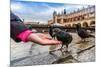 A Lot of Doves in Krakow Old City.-bloodua-Mounted Photographic Print