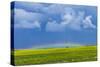 A Low Altitude Rainbow Visible over the Yellow Canola Field, Gleichen, Alberta, Canada-null-Stretched Canvas