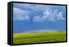 A Low Altitude Rainbow Visible over the Yellow Canola Field, Gleichen, Alberta, Canada-null-Framed Stretched Canvas