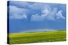 A Low Altitude Rainbow Visible over the Yellow Canola Field, Gleichen, Alberta, Canada-null-Stretched Canvas