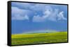 A Low Altitude Rainbow Visible over the Yellow Canola Field, Gleichen, Alberta, Canada-null-Framed Stretched Canvas