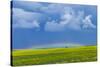 A Low Altitude Rainbow Visible over the Yellow Canola Field, Gleichen, Alberta, Canada-null-Stretched Canvas