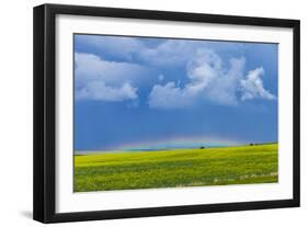 A Low Altitude Rainbow Visible over the Yellow Canola Field, Gleichen, Alberta, Canada-null-Framed Photographic Print