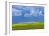 A Low Altitude Rainbow Visible over the Yellow Canola Field, Gleichen, Alberta, Canada-null-Framed Photographic Print