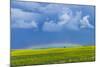 A Low Altitude Rainbow Visible over the Yellow Canola Field, Gleichen, Alberta, Canada-null-Mounted Photographic Print