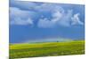 A Low Altitude Rainbow Visible over the Yellow Canola Field, Gleichen, Alberta, Canada-null-Mounted Photographic Print