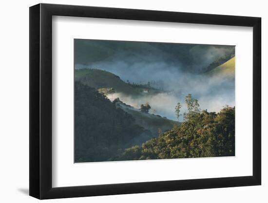 A Low-Hanging Mist in the Early Morning over Sao Francisco Xavier's Rolling Hills and Farmland-Alex Saberi-Framed Photographic Print