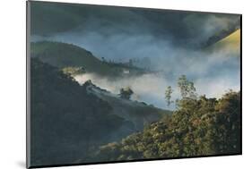 A Low-Hanging Mist in the Early Morning over Sao Francisco Xavier's Rolling Hills and Farmland-Alex Saberi-Mounted Photographic Print