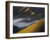 A Low-Hanging Mist in the Early Morning over Sao Francisco Xavier's Rolling Hills and Farmland-Alex Saberi-Framed Photographic Print