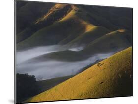 A Low-Hanging Mist in the Early Morning over Sao Francisco Xavier's Rolling Hills and Farmland-Alex Saberi-Mounted Photographic Print