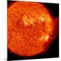 A M-2 Solar Flare with Coronal Mass Ejection-Stocktrek Images-Mounted Photographic Print