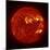 A M-2 Solar Flare with Coronal Mass Ejection-Stocktrek Images-Mounted Photographic Print