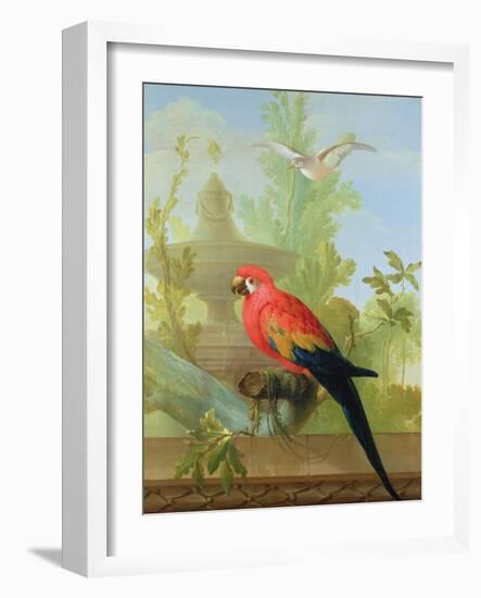 A Macaw and a Dove in an Ornamental Garden, 1772-Gerrit van den Heuvel-Framed Giclee Print