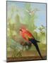 A Macaw and a Dove in an Ornamental Garden, 1772-Gerrit van den Heuvel-Mounted Giclee Print