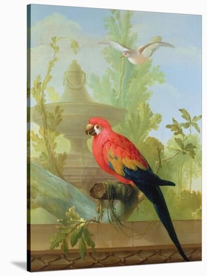 A Macaw and a Dove in an Ornamental Garden, 1772-Gerrit van den Heuvel-Stretched Canvas
