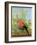 A Macaw and a Dove in an Ornamental Garden, 1772-Gerrit van den Heuvel-Framed Giclee Print