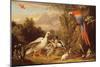 A Macaw, Ducks, Parrots and Other Birds in a Landscape, c.1708-10-Jakob Bogdani Or Bogdany-Mounted Giclee Print