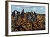 "A Machine Gun Company Moved into Position", 1915-null-Framed Giclee Print