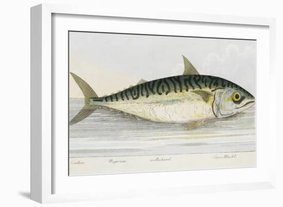 A Mackarel-E. Albin-Framed Giclee Print