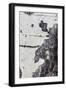 A Macro Shot of Aspen Bark on an Aspen Tree-Mallorie Ostrowitz-Framed Photographic Print