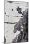 A Macro Shot of Aspen Bark on an Aspen Tree-Mallorie Ostrowitz-Mounted Photographic Print